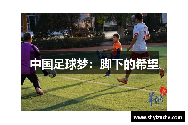 中国足球梦：脚下的希望