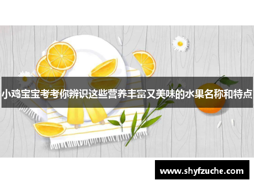 小鸡宝宝考考你辨识这些营养丰富又美味的水果名称和特点